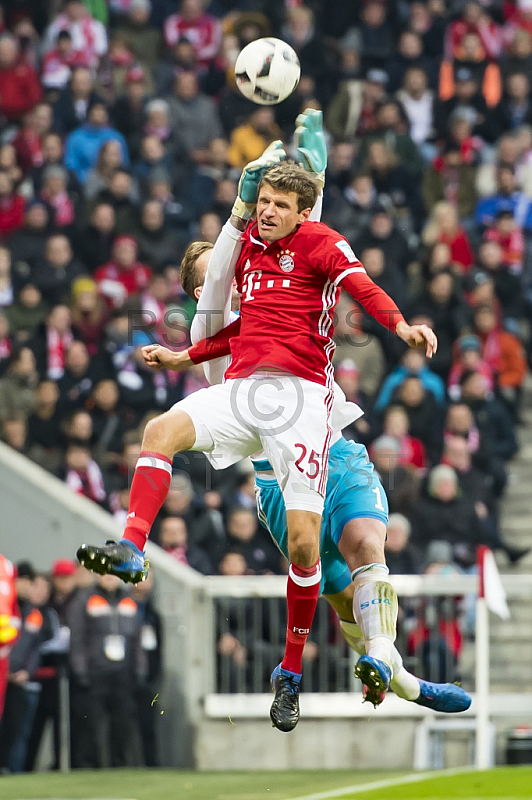 GER, 1.FBL,  FC Bayern Muenchen vs. FC Schalke 04