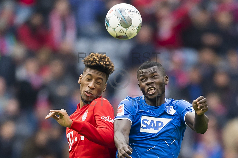 GER, 1.FBL, FC Bayern Muenchen vs. TSG 1899 Hoffenheim GER, 1.FBL, FC Bayern Muenchen vs. TSG 1899 Hoffenheim