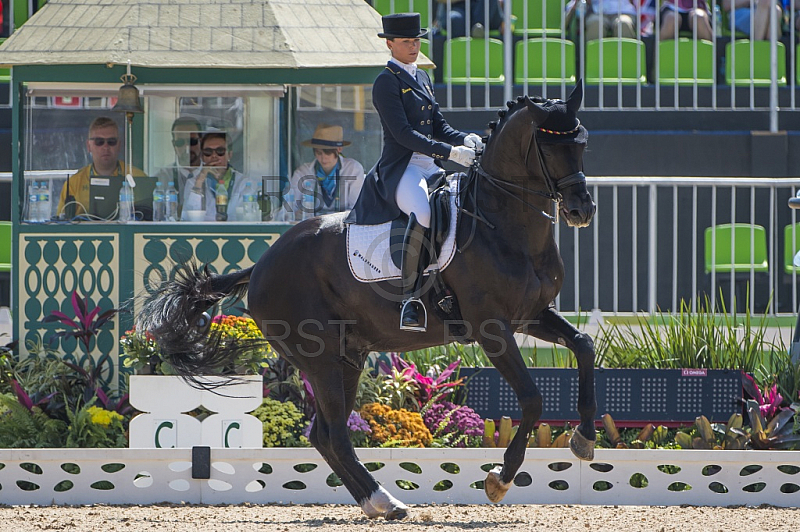 BRA, Olympia 2016 Rio, Reitsport , Dressur EInzel Grand Prix Kuer