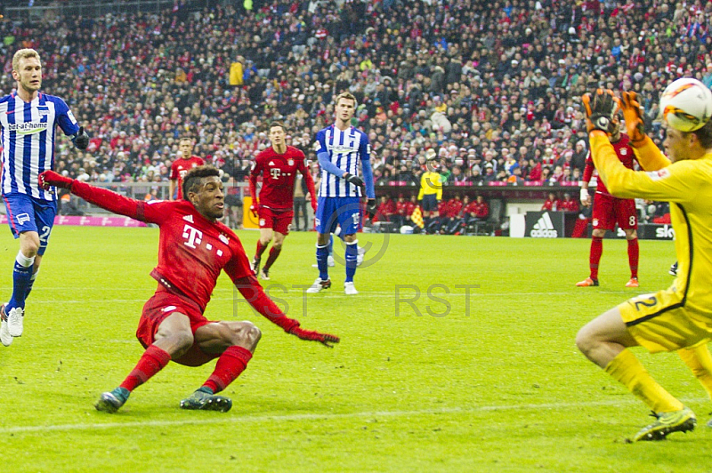 GER, 1.FBL,  FC Bayern Muenchen vs. Hertha BSC Berlin