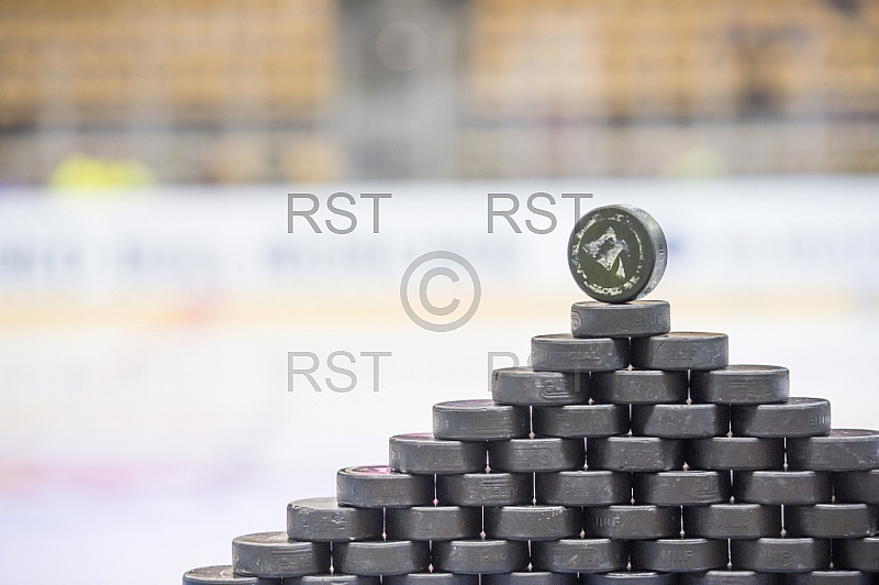 GER, DEL, EHC Red Bull Muenchen vs. Eisbaeren Berlin