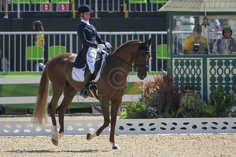 BRA, Olympia 2016 Rio, Pferdesport Dressur - Vielseitigkeitsreiten Tag 1 