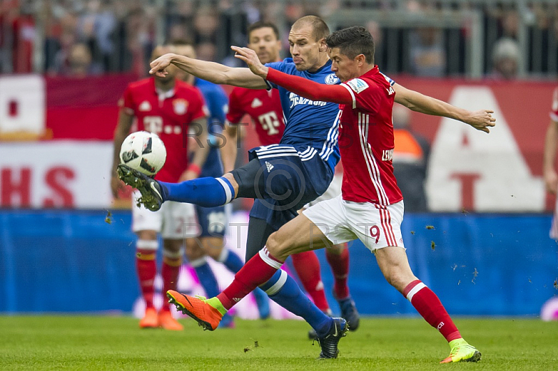 GER, 1.FBL,  FC Bayern Muenchen vs. FC Schalke 04