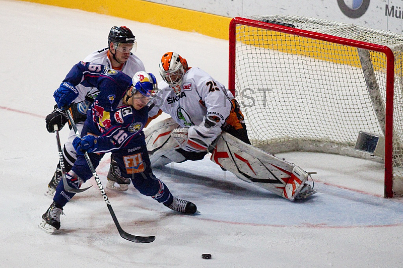 GER, DEL, EHC Red Bull Muenchen vs. Grizzly Adams Wolfsburg GER, DEL, EHC Red Bull Muenchen vs. Grizzly Adams Wolfsburg