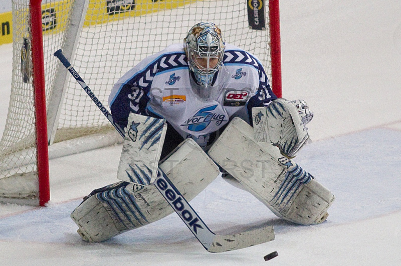 GER, DEL, EHC Red Bull Muenchen vs. Hamburg Freezers
