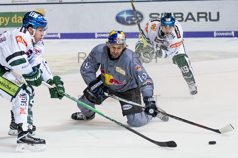 GER, DEL, EHC Red Bull Muenchen vs. Augsburger Panther