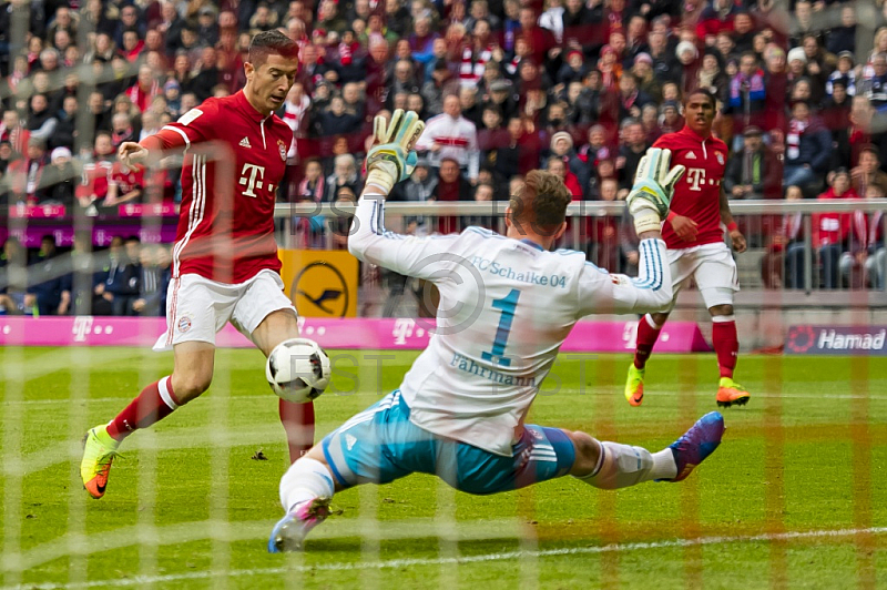 GER, 1.FBL,  FC Bayern Muenchen vs. FC Schalke 04
