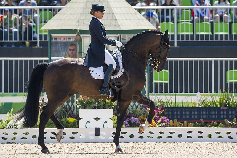 BRA, Olympia 2016 Rio, Reitsport , Dressur EInzel Grand Prix Kuer