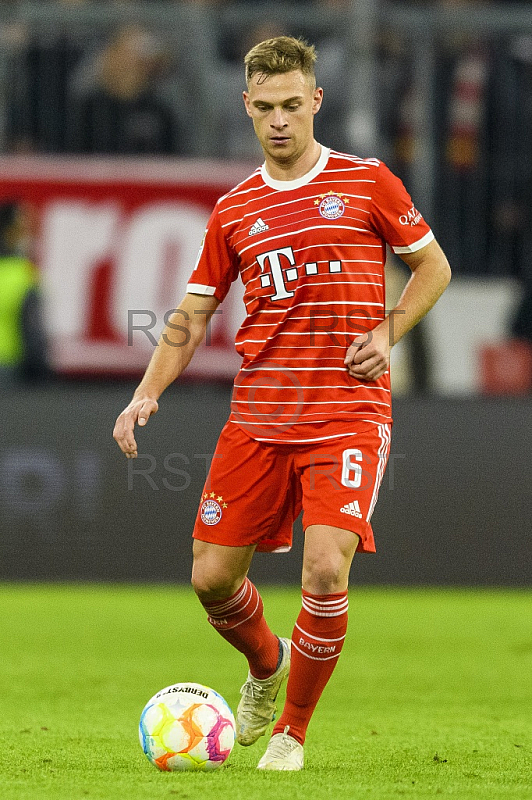 GER, DFB, FC Bayern Muenchen vs. SV Werder Bremen