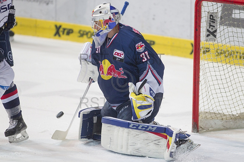 GER, DEL, EHC Red Bull Muenchen vs. Eisbaeren Berlin