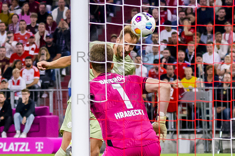 GER, DFB, FC Bayern Muenchen vs. Bayer 04 Leverkusen 