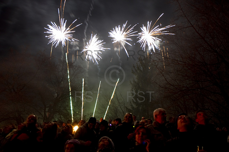 GER,Sylvesterfeier mit Feuerwerk auf dem Muenchner Luitpoldpark GER,Sylvesterfeier mit Feuerwerk auf dem Muenchner Luitpoldpark