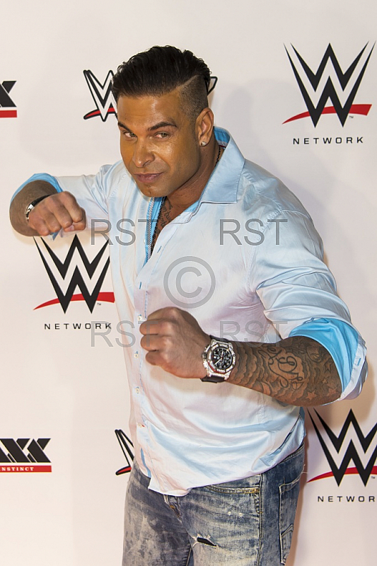 GER, WWE Live Event, Roter Teppich