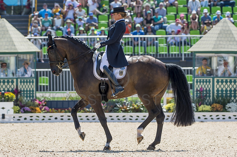 BRA, Olympia 2016 Rio, Reitsport , Dressur EInzel Grand Prix Kuer