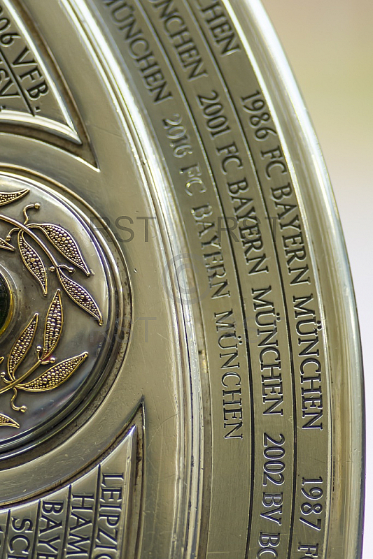 GER, 1.FBL,  FC Bayern Muenchen vs. Hannover 96