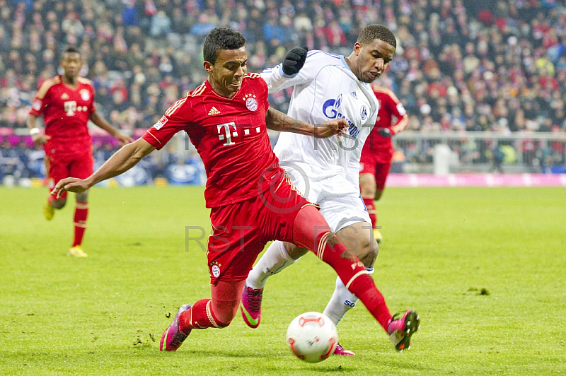 GER, 1.FBL,  FC Bayern Muenchen vs. FC Schalke 04
