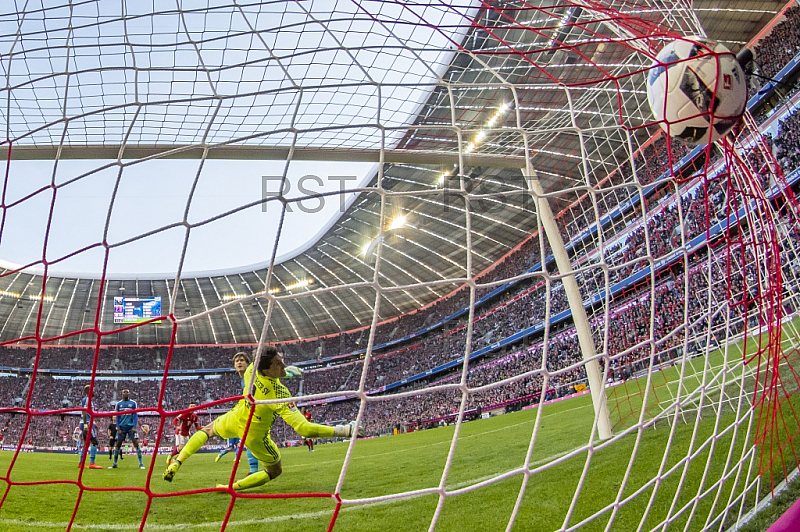 GER, 1.FBL,  FC Bayern Muenchen vs. Hamburger SV
