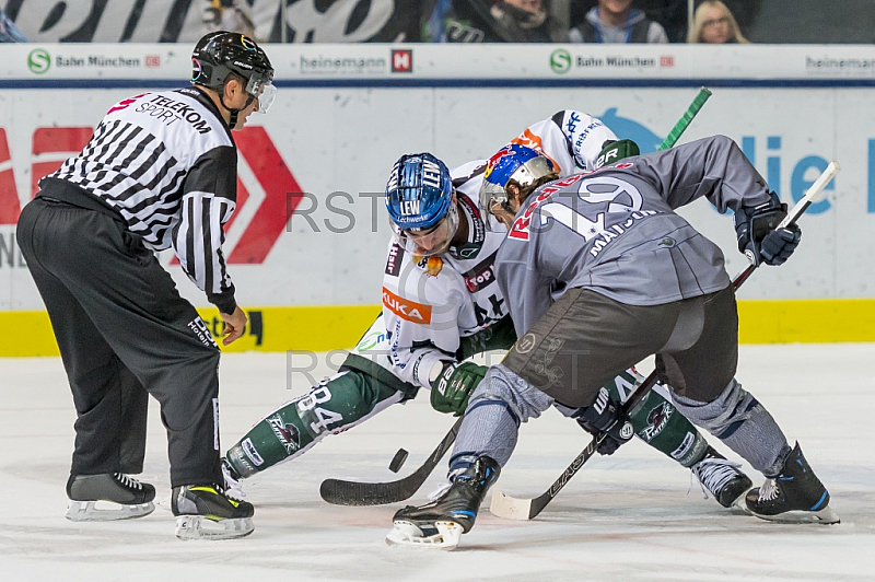 GER, DEL, EHC Red Bull Muenchen vs. Augsburger Panther