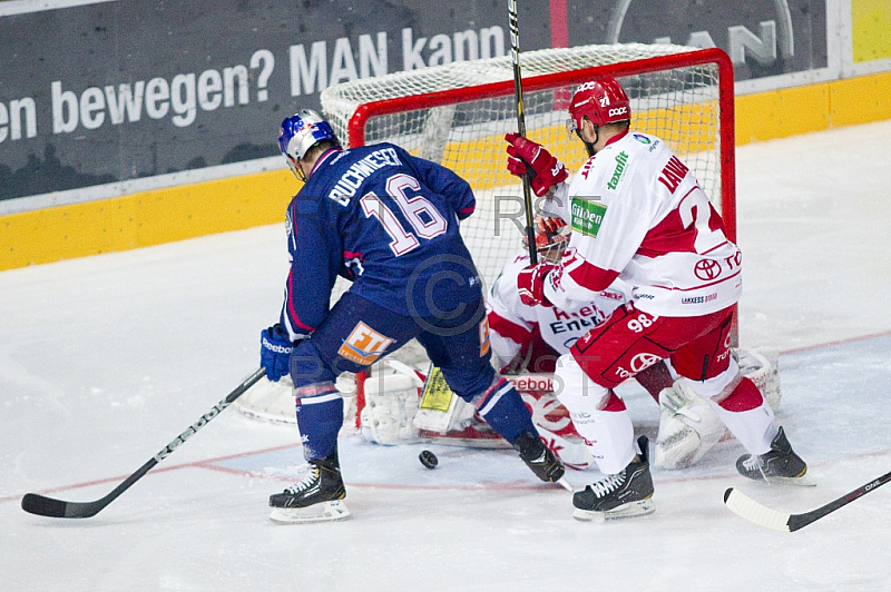 GER, DEL, EHC Red Bull Muenchen vs. Koelner Haie