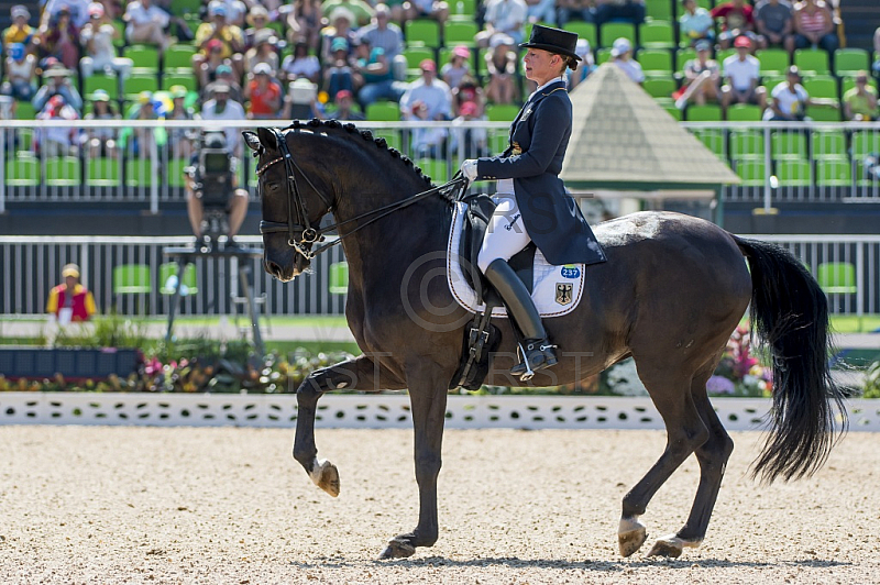 BRA, Olympia 2016 Rio, Reitsport , Dressur EInzel Grand Prix Kuer