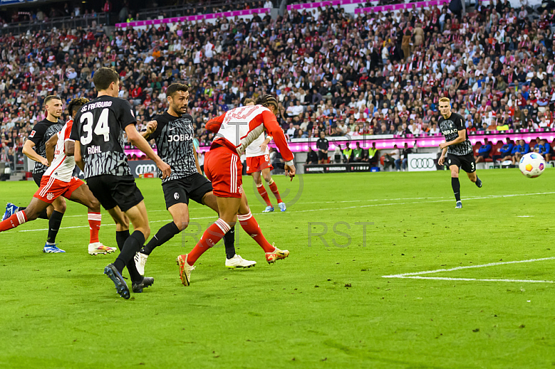 GER, DFB, FC Bayern Muenchen vs. SC Freiburg