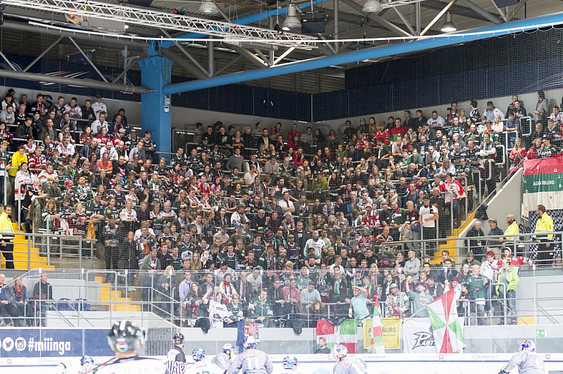 GER, DEL, EHC Red Bull Muenchen vs. Augsburger Panther