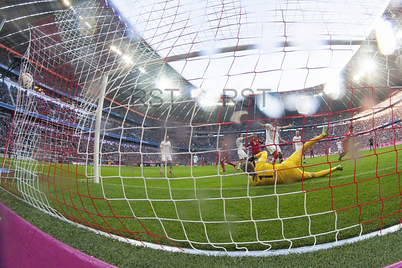GER, 1.FBL,  FC Bayern Muenchen vs. 1. FC Kln