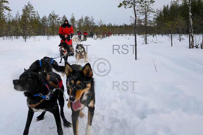 FIN, feature aus Rovaniemi, dem Zuhause des Weihnachtsmannes