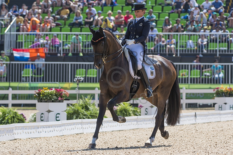 BRA, Olympia 2016 Rio, Reitsport , Dressur EInzel Grand Prix Kuer