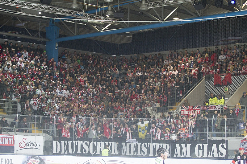 GER, DEL, EHC Red Bull Muenchen vs. Koelner Haie