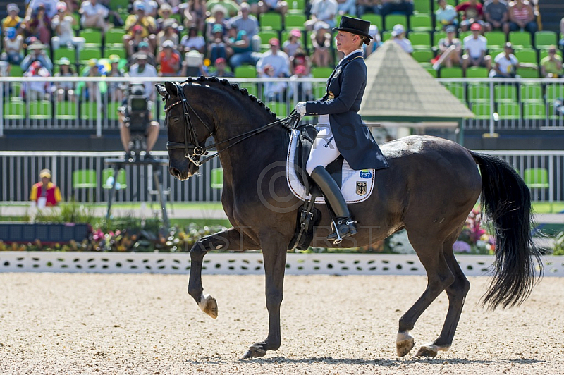 BRA, Olympia 2016 Rio, Reitsport , Dressur EInzel Grand Prix Kuer