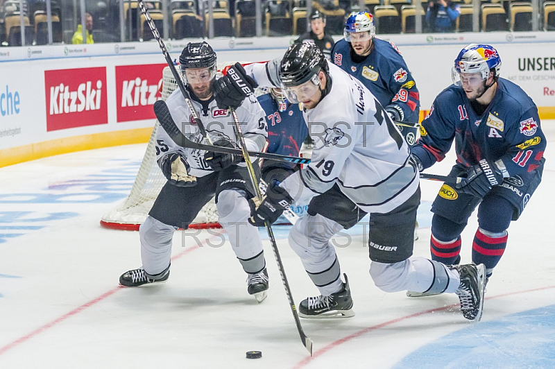 GER, DEL, EHC Red Bull Muenchen vs. Thomas Sabo Ice Tigers