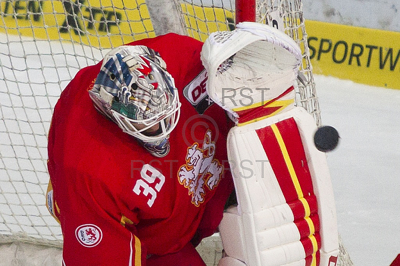 GER, DEL, EHC Red Bull Muenchen vs. Duesseldorfer EG
