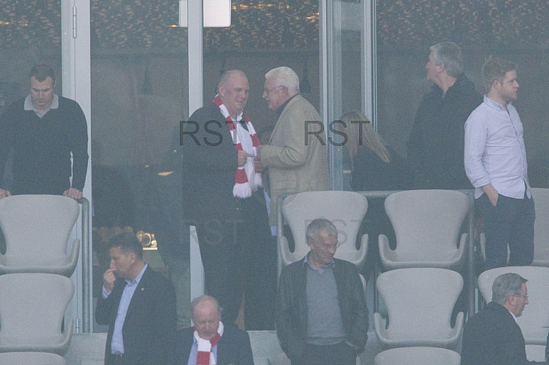 GER, 1.FBL,  FC Bayern Muenchen vs. TSG 1899 Hoffenheim