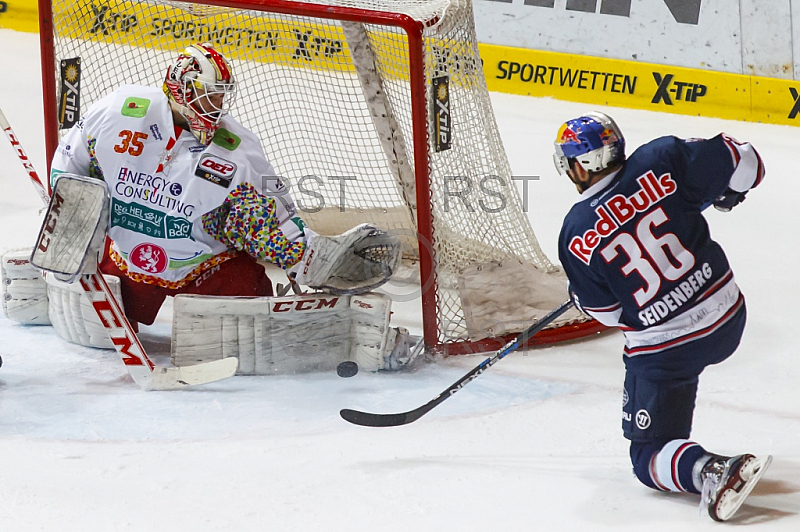 GER, DEL, EHC Red Bull Muenchen vs. Dueseldorfer EG 