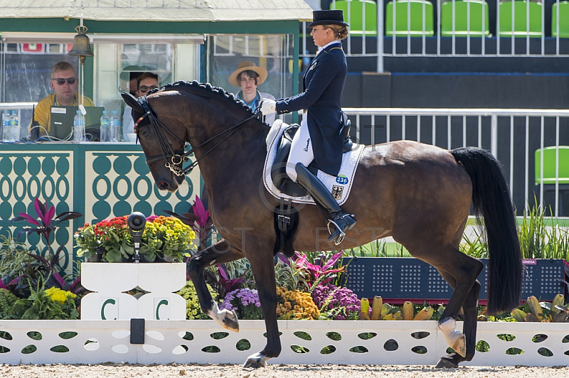 BRA, Olympia 2016 Rio, Reitsport , Dressur EInzel Grand Prix Kuer