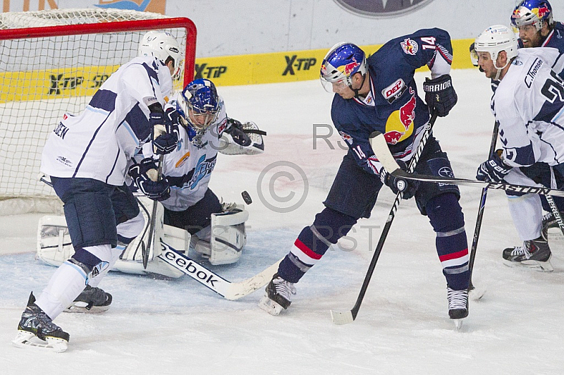 GER, DEL, EHC Red Bull Muenchen vs. Hamburg Freezers