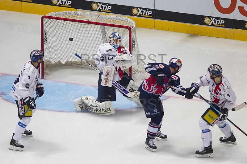 GER, DEL, EHC Red Bull Muenchen vs. Eisbaeren Berlin
