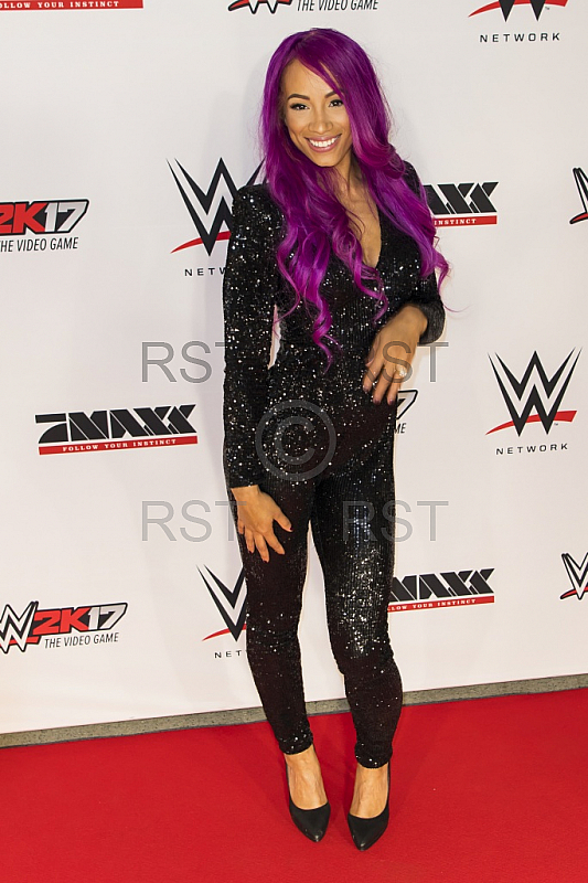 GER, WWE Live Event, Roter Teppich