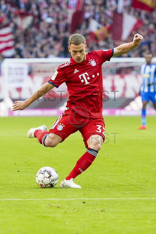 GER, 1.FBL,  FC Bayern Muenchen vs. Hertha BSC Berlin