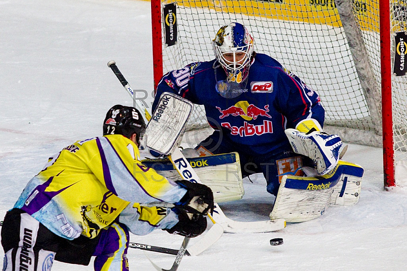 GER, DEL, EHC Red Bull Muenchen vs. Krefeld Pinguine GER, DEL, EHC Red Bull Muenchen vs. Krefeld Pinguine