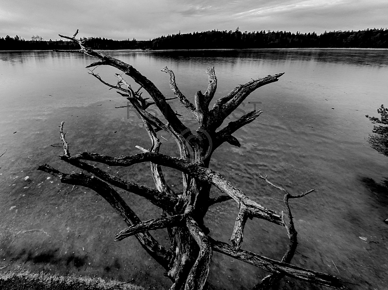 GER, Feature Luftbilder Fohnsee
