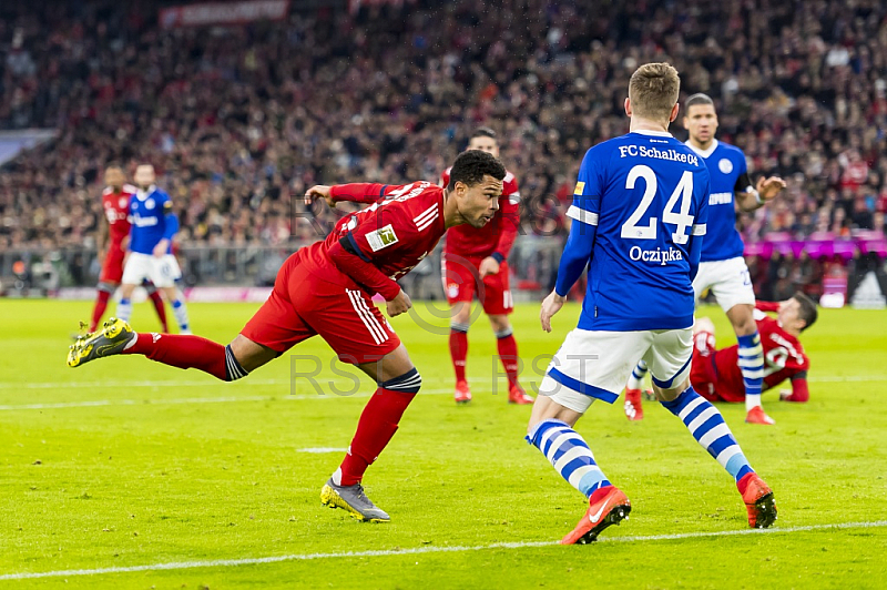 GER, 1.FBL,  FC Bayern Muenchen vs. FC Schalke 04