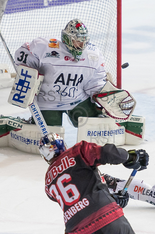 GER, DEL, EHC Red Bull Muenchen vs. Augsburger Panther