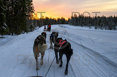 FIN, feature aus Rovaniemi, dem Zuhause des Weihnachtsmannes