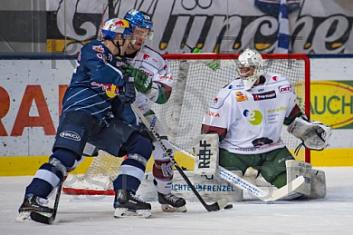 GER, DEL, EHC Red Bull Muenchen vs. Augburger Panther